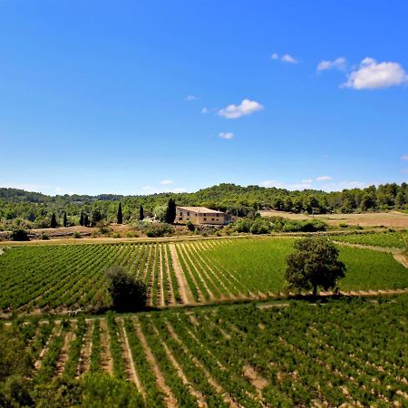 Hostal Domaine De Palats Laure-Minervois Exterior foto
