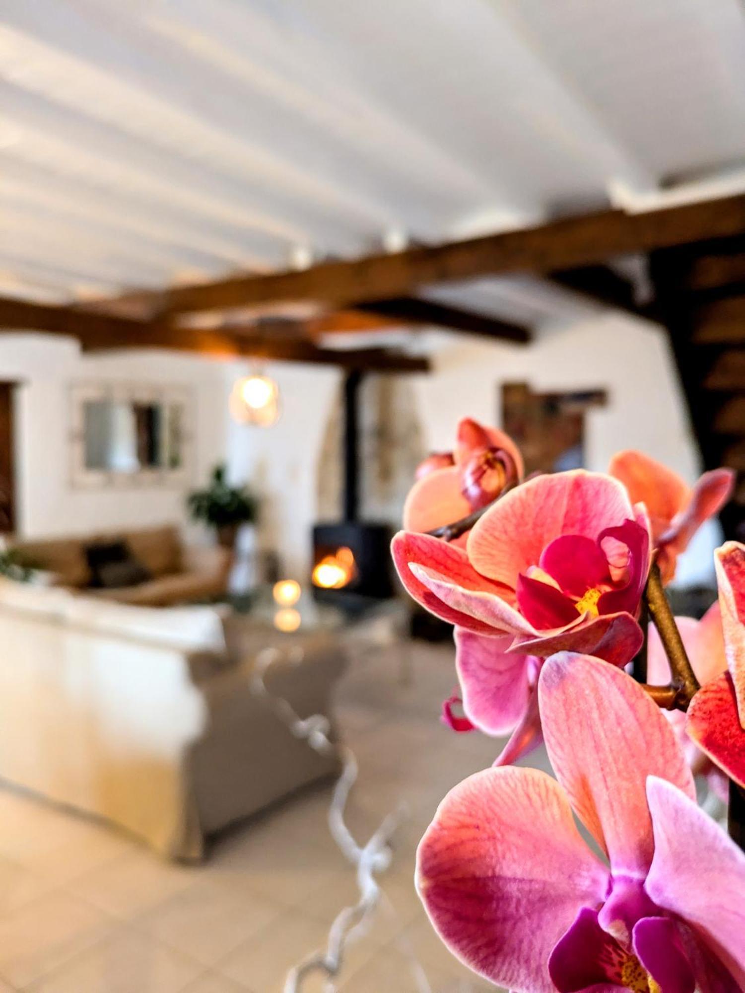 Hostal Domaine De Palats Laure-Minervois Habitación foto