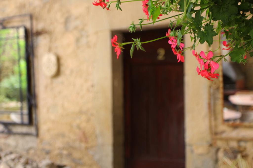 Hostal Domaine De Palats Laure-Minervois Exterior foto