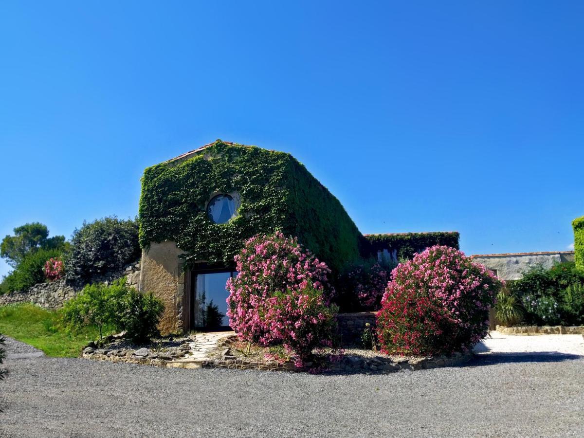 Hostal Domaine De Palats Laure-Minervois Exterior foto