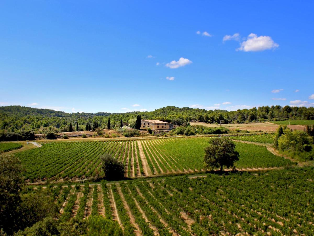 Hostal Domaine De Palats Laure-Minervois Exterior foto